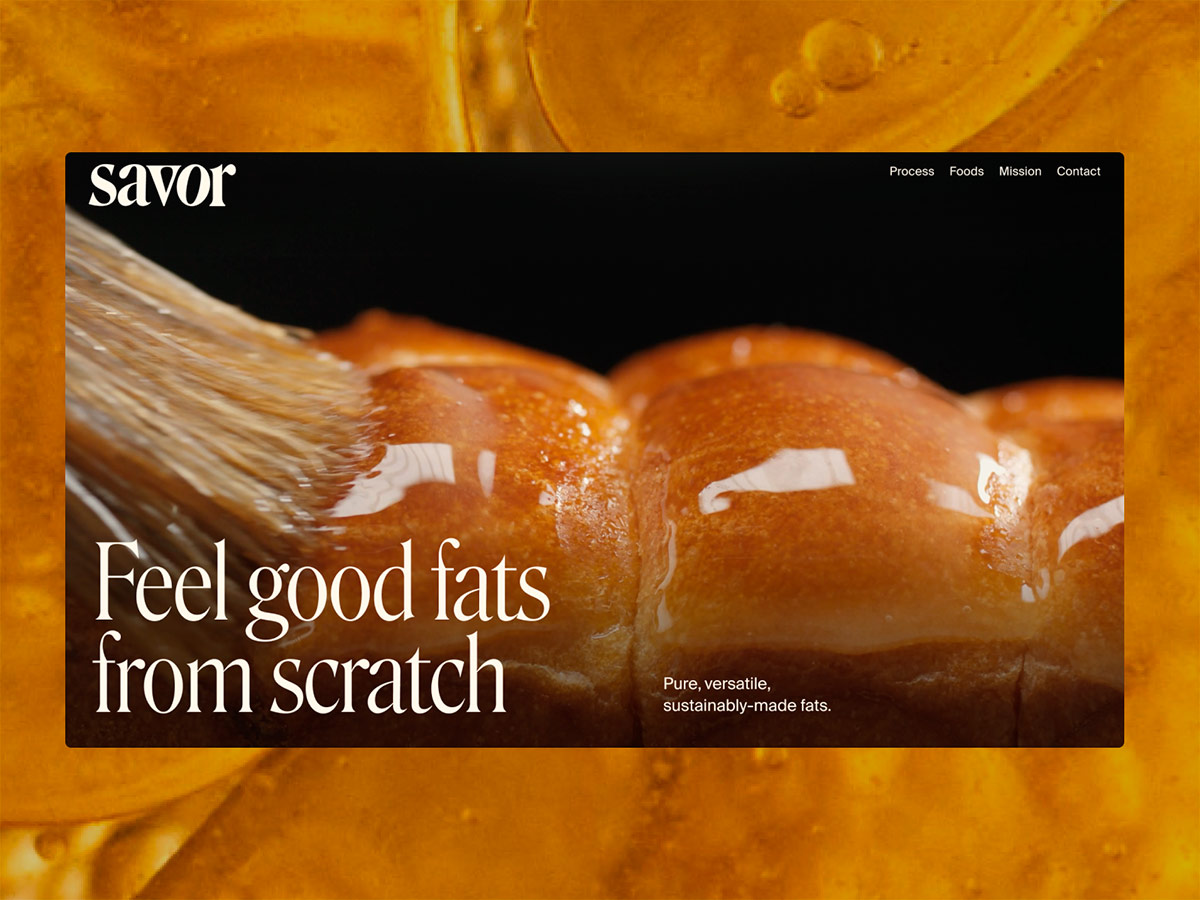 Savor: Reimagining the Future of Fat
